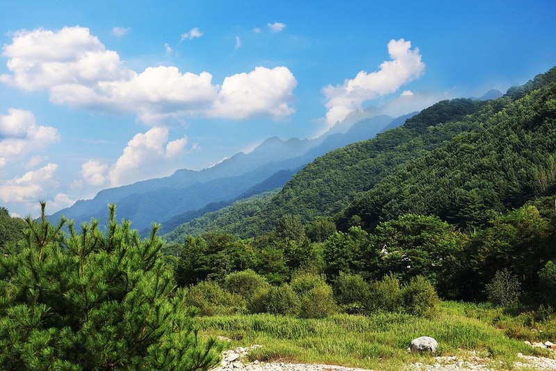 한계2리 솔밭야영장 시설 사진 5