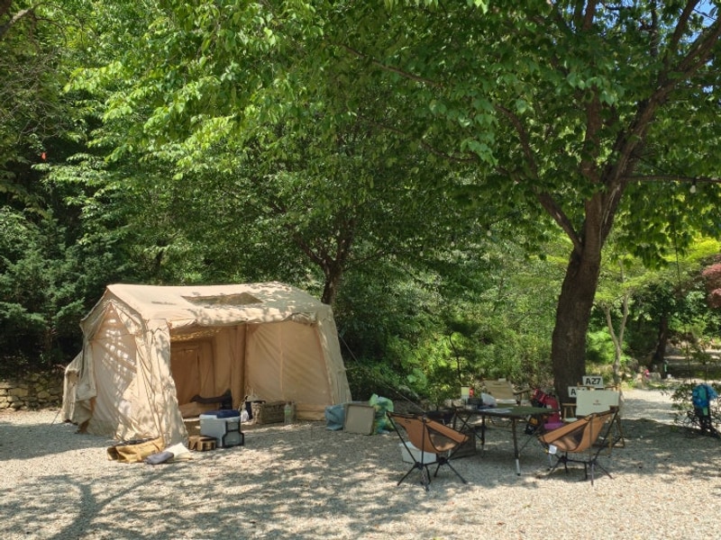 금산 대형 캠핑장 한마음심천캠핑랜드 넓은 공간과 계곡이...