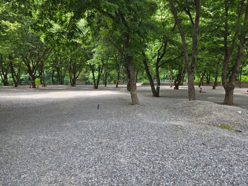 가평의 숨은 캠핑 명소 가평계곡 중바위캠핑장 이용 후기