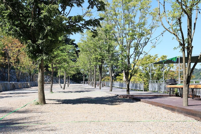 오도산 관광농원 시설 사진 6