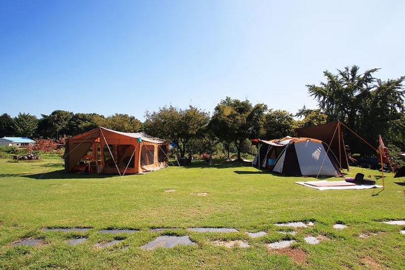 진경원민박캠핑장 대표 사진