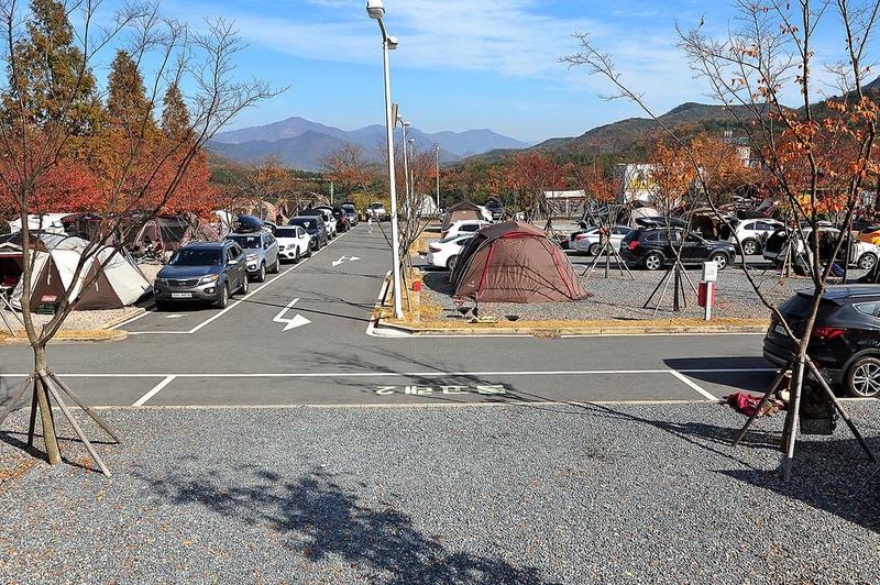 천문대오토캠핑장 시설 사진 7