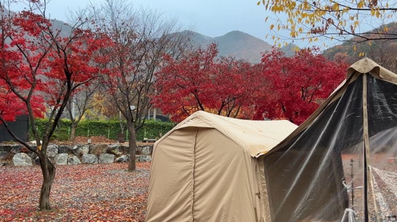 충주 월악 한울 오토캠핑장 계곡 뷰 보면서 힐링하기