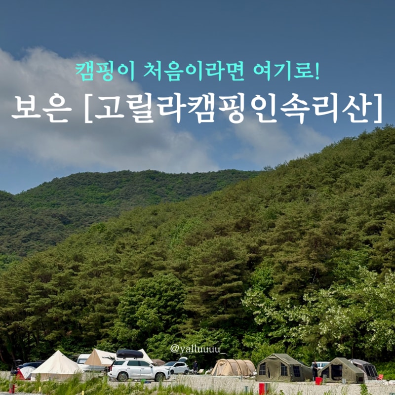 보은] 대전 근교 애견동반 대형 캠핑장, 고릴라캠핑 인 속리산...