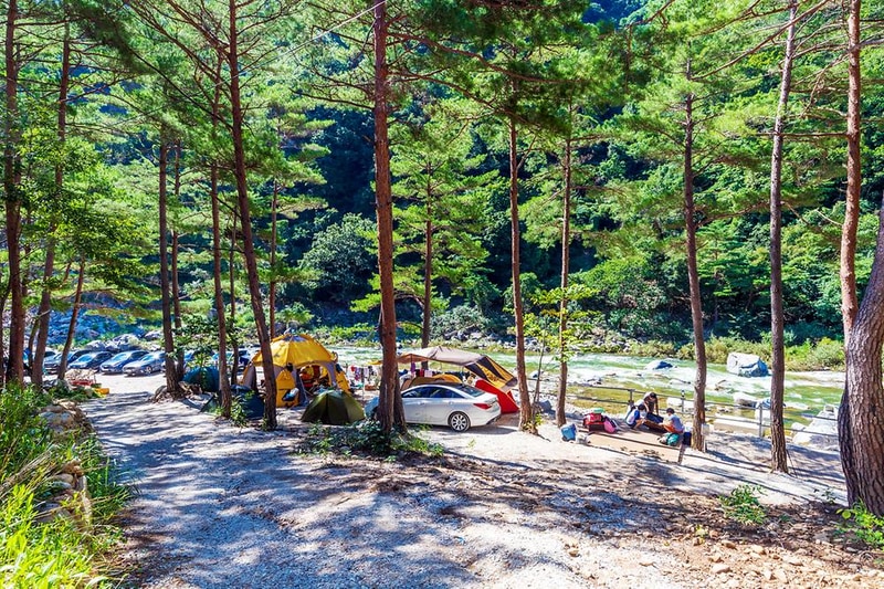 왕피천 숲속 캠핑장 시설 사진 12