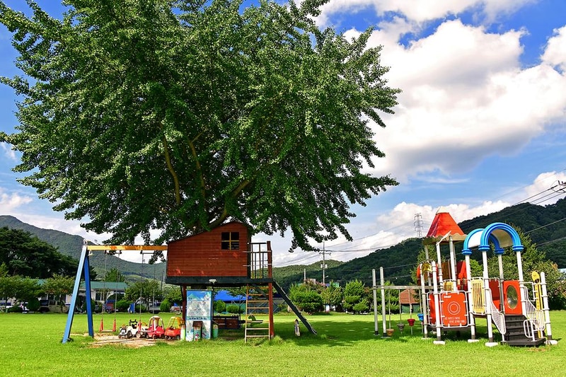 옛서당캠핑농원 시설 사진 3