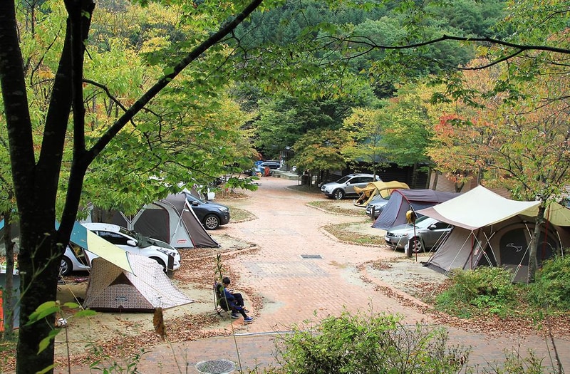 덕유대자동차야영장 시설 사진 20