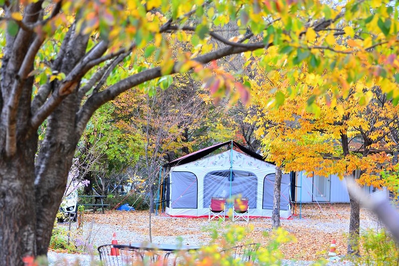 들꽃여울캠핑장 시설 사진 4