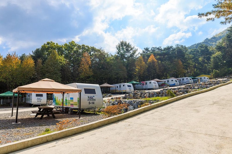 제천카라반 더그린 시설 사진 15