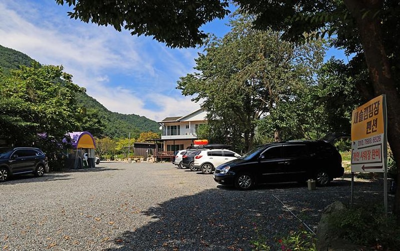 새솔캠핑장&펜션 대표 사진