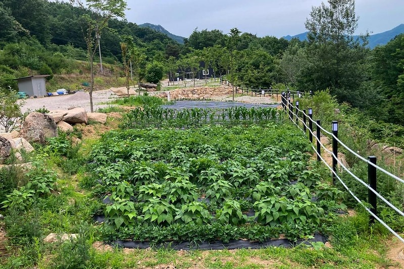 문장대 사계절캠핑장 시설 사진 2