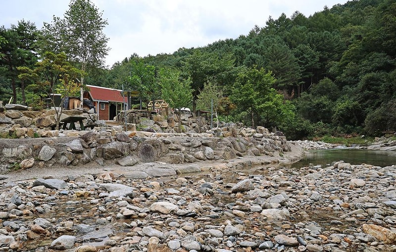 메기의 추억 시설 사진 12