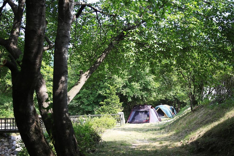 용골송어와 캠핑 시설 사진 12