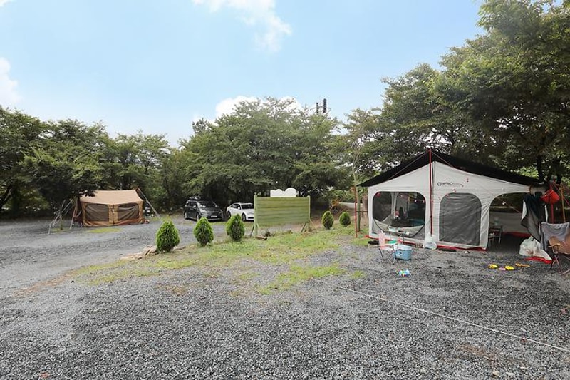 화이트 야영장 대표 사진