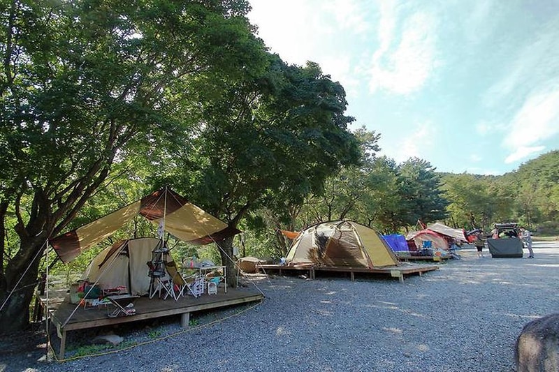 대관령 솔내음 오토 캠핑장 시설 사진 2