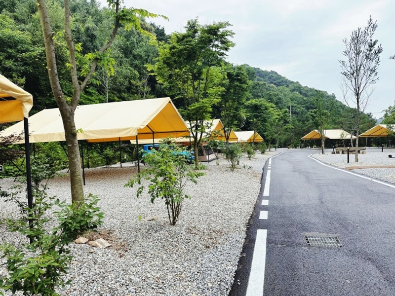 "오캄캠핑, 연천 오토캠핑장"