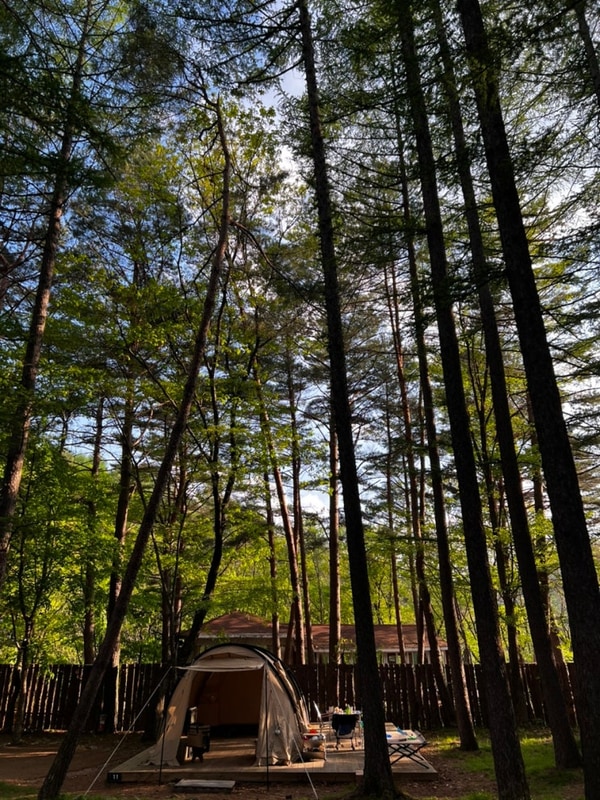 평창 휘게포레스트_ 강원도 캠핑