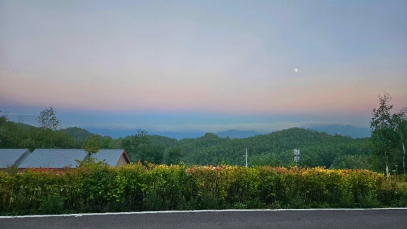 [태백] 17. 캠핑기록 / 매봉산 천상의숲 A사이트 총정리/명당추천