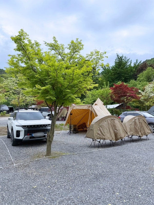 [파주] 파주 율곡캠핑장 : 서울근교캠핑장 추천