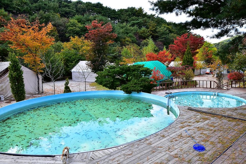 자일랜드 시설 사진 13