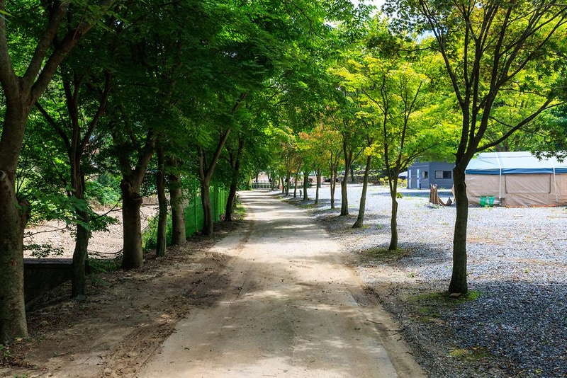 벌곡 산속 캠핑장 시설 사진 4