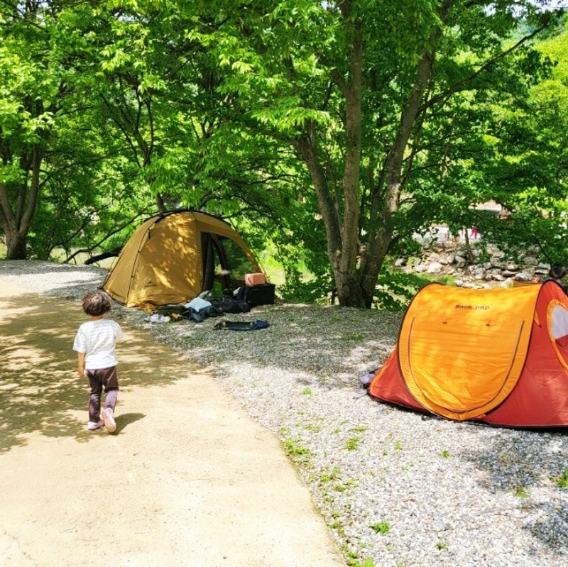 경기도 양평 오토캠핑장 노문야영장 엘로우존 캠프닉 후기