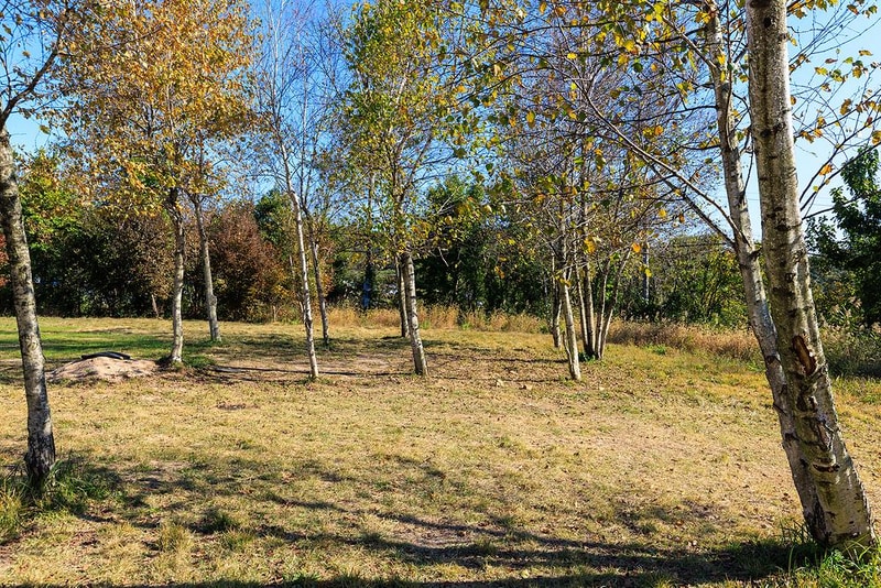 세울터 오토캠핑장 & 펜션 시설 사진 16