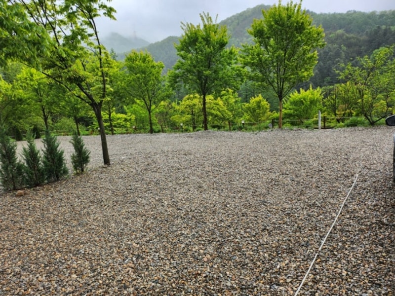 양평 집밖으로 D1사이트 후기 애견동반 민경훈 캠핑장