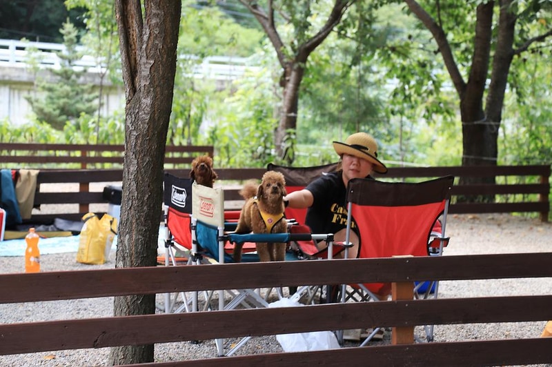 반디하우스캠핑장 시설 사진 7