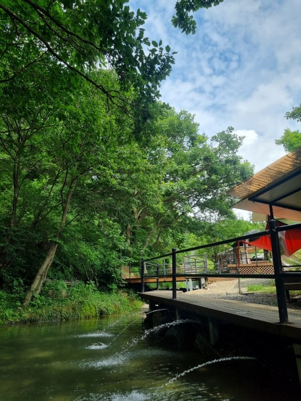 파주 감성 캠핑&글램핑 초리포레스트