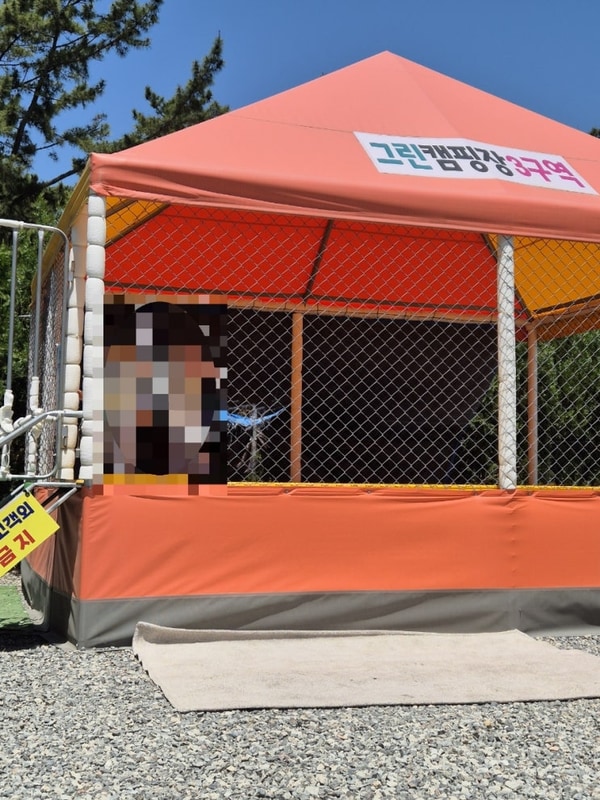 캠핑초보의 여름캠핑-몽산포 그린 캠핑장