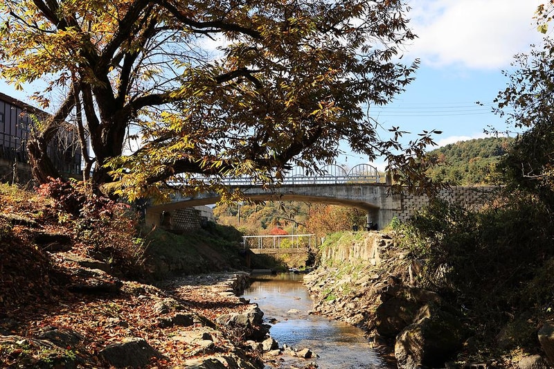 다올숲 시설 사진 8