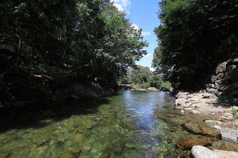 물한계곡소나무펜션 시설 사진 10