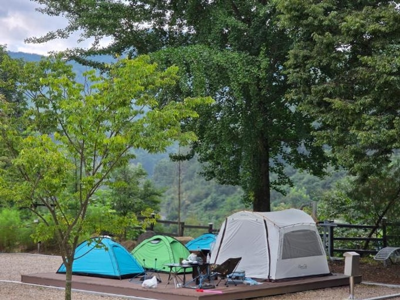 별의바다 조동캠핑장, 감성캠핑 즐기기 좋은 힐링 스폿