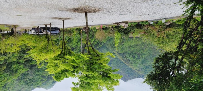 파인트리캠핑장 시설 사진 72