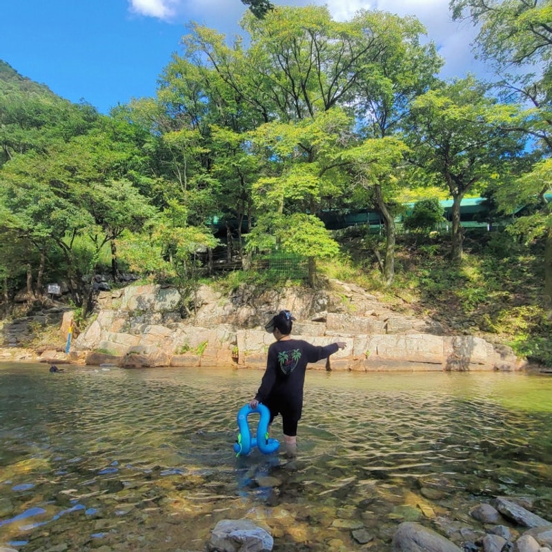 충북 괴산 물소리풍경캠핑장 동지들과 여름휴가 캠핑 즐겁고...