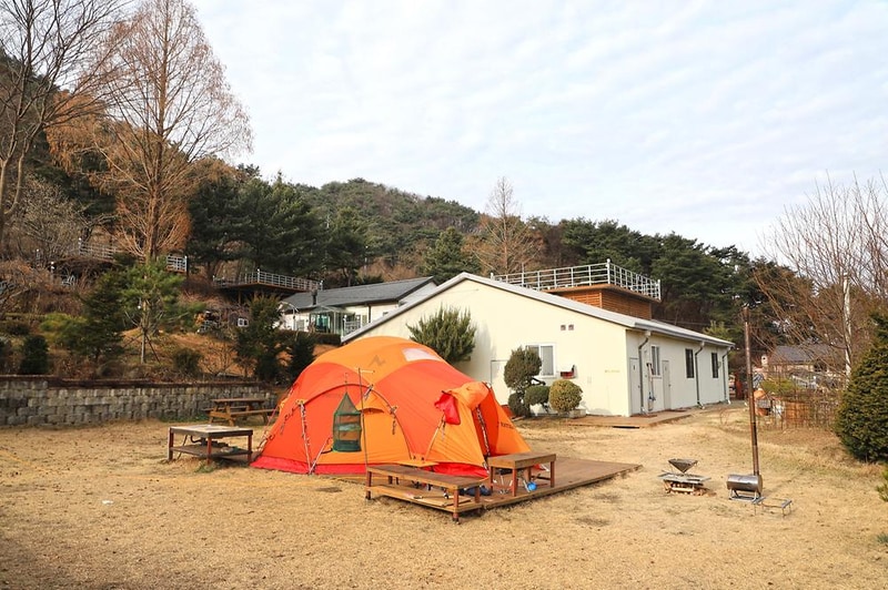 벳소캠프 시설 사진 14