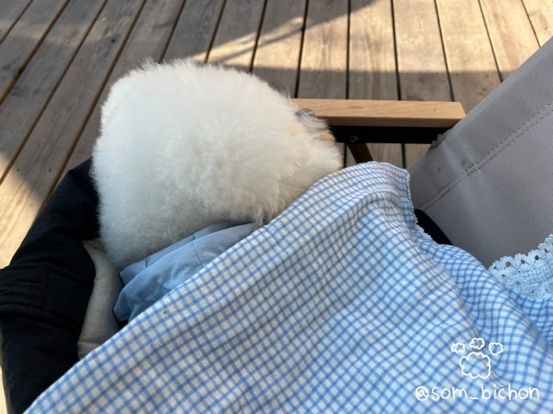 [가평군 상면] 가평 숲속 캠핑 '선택적고립 캠핑장...