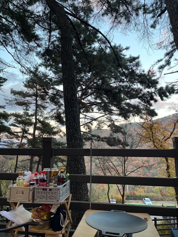 경남 김해 오토캠핑장, 신어산자연숲캠핑장 꽃8 사이트 1박 후기