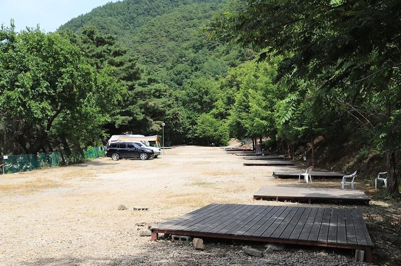 내린천솔밭힐링캠핑장 대표 사진