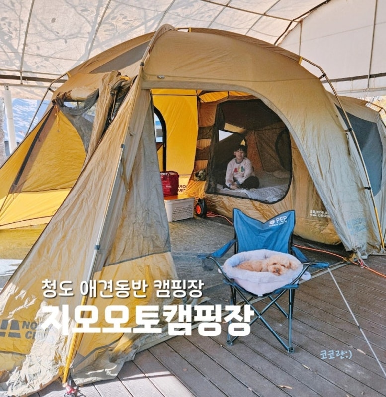 청도 지오오토캠핑장 강아지 동반 재방문 후기