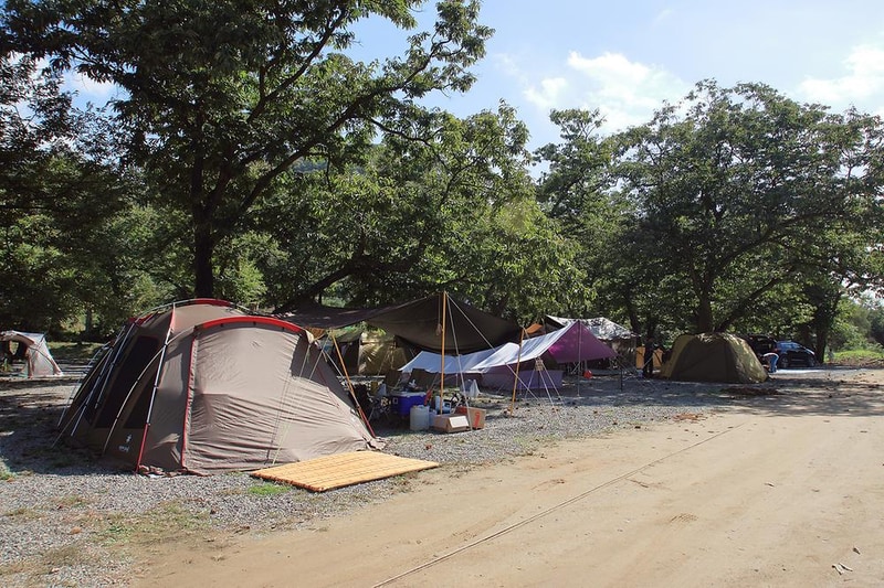 초평밤나무 시설 사진 12