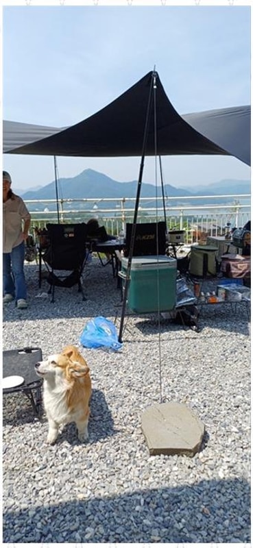 제천캠핑 자연 속 완벽한 힐링, 제천 람보캠핑장 후기