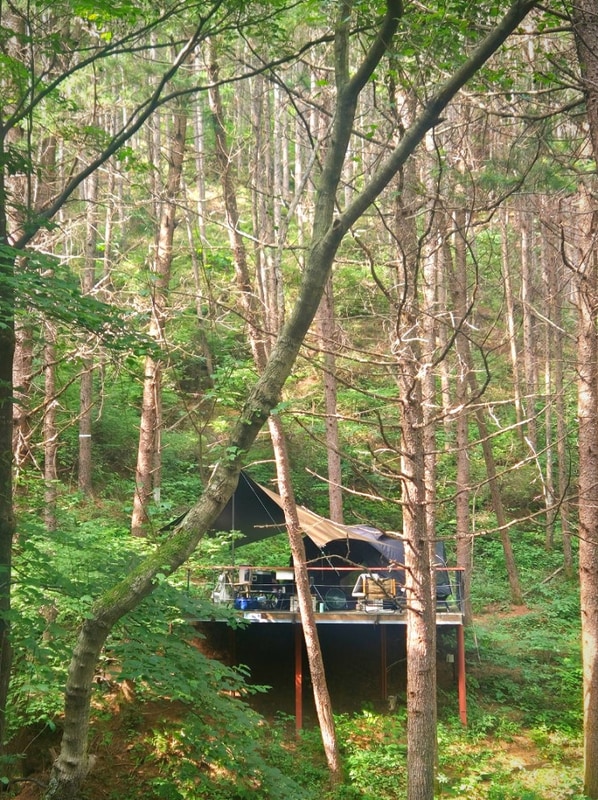 폭염에도 시원한 숲캠핑장 자연 그대로의 인제 하늘그린캠프