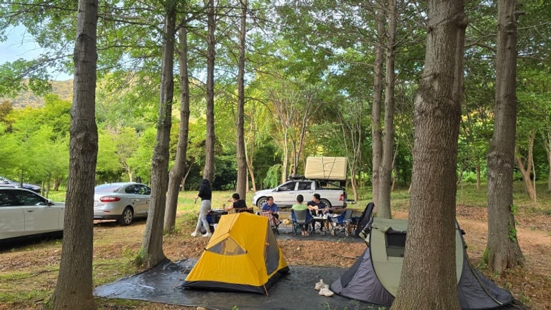 논산 나그네캠핑장