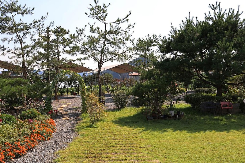 솔밭사이로 캠핑&펜션 시설 사진 16