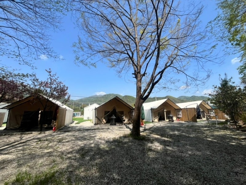 [포천] 메이플 글램핑 캠핑장1호점 감성 프라이빗 글램핑