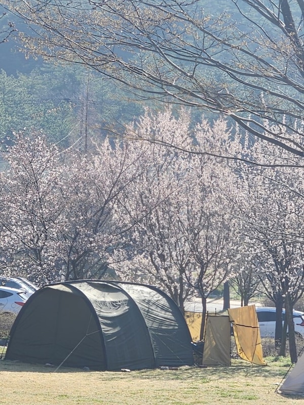 전북 고창 오토캠핑장 추천 보다더캠핑 잔디구역 후기