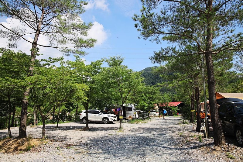 평창 보물섬캠핑장 시설 사진 16