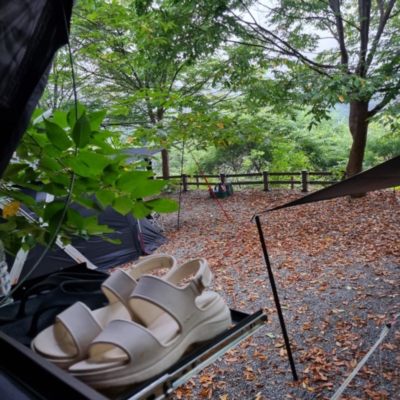 [홍천고길동캠핑장]